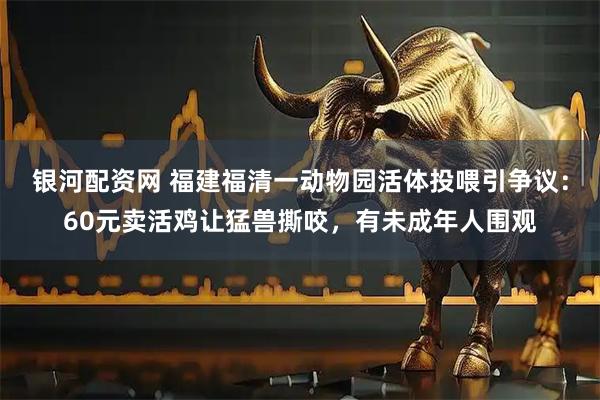 银河配资网 福建福清一动物园活体投喂引争议：60元卖活鸡让猛兽撕咬，有未成年人围观